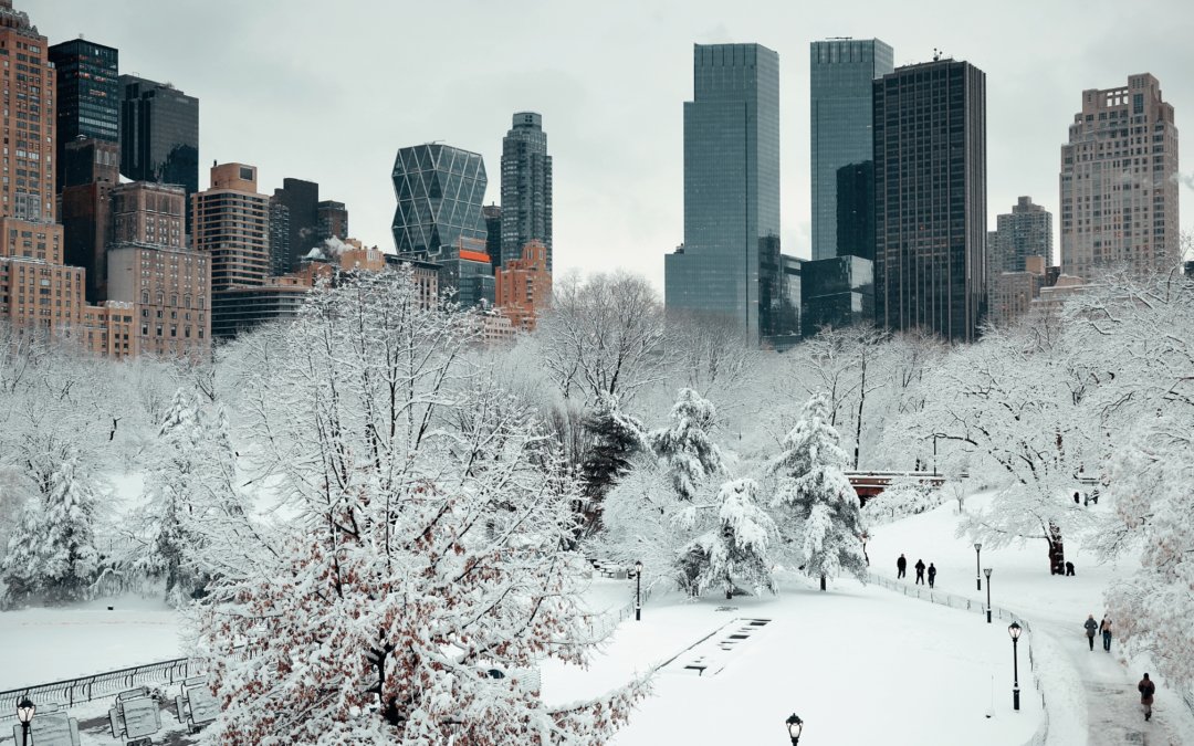 Thriving in January: Strategies to Maximize Resilience During the Winter Season